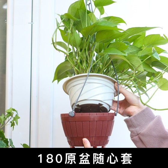 跨境厂家欧林泽直销亚马逊电商A71塑料花盆自浇水自吸水懒人花盆