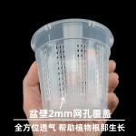 镂空透气塑料兰花盆蝴蝶兰网孔青山控根盆自带空气柱定植篮防跑根