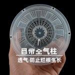 镂空透气塑料兰花盆蝴蝶兰网孔青山控根盆自带空气柱定植篮防跑根