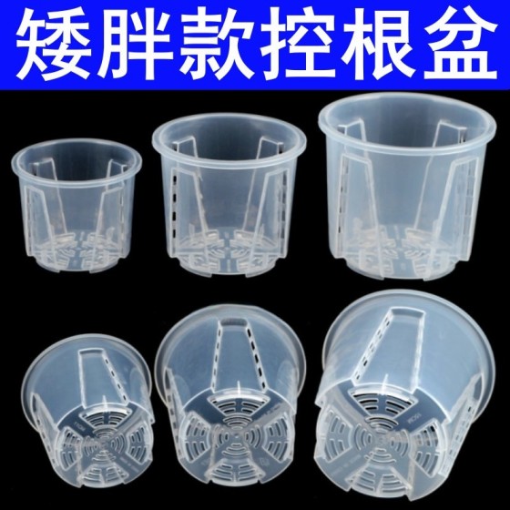 批发矮胖款高透明控根盆石斛多肉蝴蝶兰花盆青山盆打孔透气硬植杯