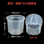 批发矮胖款高透明控根盆石斛多肉蝴蝶兰花盆青山盆打孔透气硬植杯
