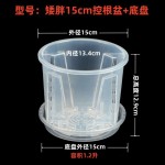 批发矮胖款高透明控根盆石斛多肉蝴蝶兰花盆青山盆打孔透气硬植杯