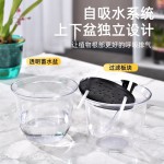 中号圆形自吸水花盆透明中号懒人桌面多肉绿萝透气水培土培两用盆