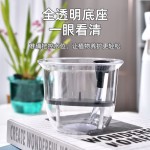 中号圆形自吸水花盆透明中号懒人桌面多肉绿萝透气水培土培两用盆