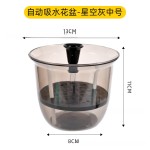 中号圆形自吸水花盆透明中号懒人桌面多肉绿萝透气水培土培两用盆