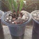 兰花盆网套塑料兰花盆陶瓷紫砂盆专用防植物料散落高弹网套