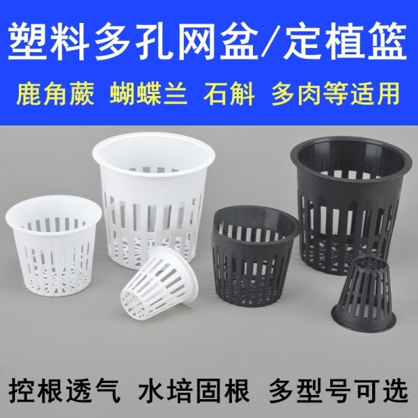 塑料多孔网盆控根兰花盆蝴蝶兰育苗鹿角蕨透气盆水培定植篮生根盆