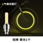 自行车气门嘴灯轮胎气门芯灯山地车风火轮儿童单车七彩警示氛围灯