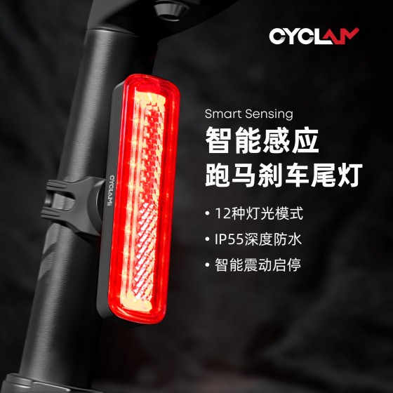 CYCLAMI友骑自行车灯夜骑行跑马刹车尾灯USB充电安全警示灯尾灯