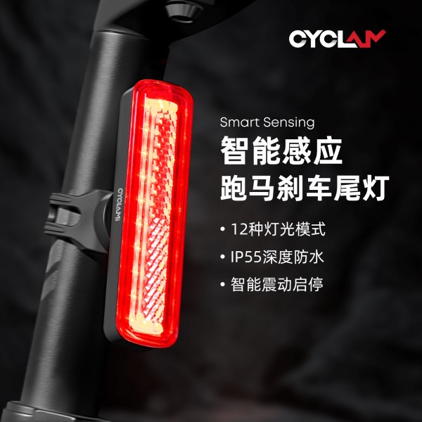 CYCLAMI友骑自行车灯夜骑行跑马刹车尾灯USB充电安全警示灯尾灯
