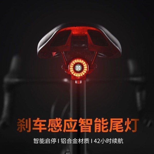 路迈威SR1自行车尾灯Type-C充电智能感应刹车灯自行车灯山地车公