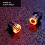 路迈威SR1自行车尾灯Type-C充电智能感应刹车灯自行车灯山地车公