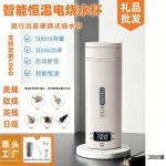 厂家批发烧水杯110V/220V通用 酒店客房迷你加热杯 316不锈钢内胆