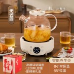 跨境代发全玻璃小型养生壶多功能家用220V烧水壶办公室花茶壶礼品