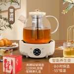 跨境代发全玻璃小型养生壶多功能家用220V烧水壶办公室花茶壶礼品