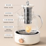 全玻璃养生壶多功能家用小型新款保温煮茶器烧水壶花茶壶110V美规