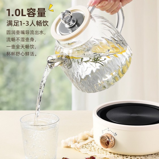 全玻璃养生壶多功能家用小型新款保温煮茶器烧水壶花茶壶110V美规