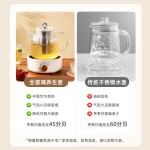 全玻璃养生壶多功能家用小型新款保温煮茶器烧水壶花茶壶110V美规