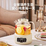 110V美规养生壶家用1.2升多功能全玻璃煮茶器烧水壶办公室花茶壶