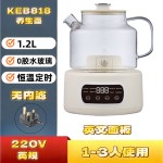 110V美规养生壶家用1.2升多功能全玻璃煮茶器烧水壶办公室花茶壶