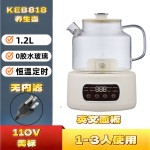 110V美规养生壶家用1.2升多功能全玻璃煮茶器烧水壶办公室花茶壶
