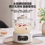 110V美规养生壶家用1.2升多功能全玻璃煮茶器烧水壶办公室花茶壶