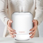 跨境新款大容量双喷口加湿器家用卧室灯笼礼品香薰款静音保湿便携