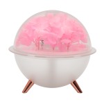 2026永生花加湿器氛围灯补水仪微景观加湿器 创意插花DIY节日礼品