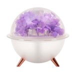 2026永生花加湿器氛围灯补水仪微景观加湿器 创意插花DIY节日礼品