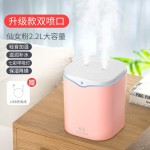 跨境2L双喷加湿器usb插电 家用桌面大容量大雾量迷你空气净化加湿