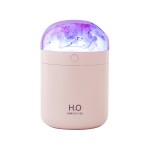 创意DIY永生花加湿器 家用卧室床头氛围灯补水仪 节日礼品加湿器