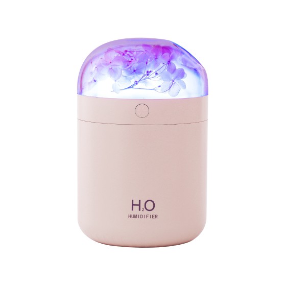 创意DIY永生花加湿器 家用卧室床头氛围灯补水仪 节日礼品加湿器