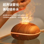 nbshan SD13高端火焰香薰机家用空气净化器USB加湿器大雾量喷香机