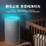 小型礼品桌面净化器除二手烟除PM2.5家用室内净化机跨境厂家 （含认证）