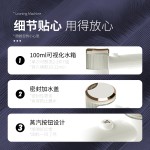 手持挂烫机便携式旅行干湿双熨烫衣服神器家用小型手持大面板熨斗 (含认证）