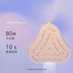 手持挂烫机便携式旅行干湿双熨烫衣服神器家用小型手持大面板熨斗 (含认证）