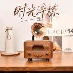 雷克森G3000喇叭花音响木质蓝牙音箱复古客厅摆件FM收音机送礼物