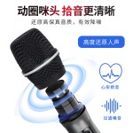 无线话筒手持万能麦一拖二高音质家庭K歌音响直播充电无线麦克风