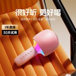 话筒音响一体麦克风低音炮蓝牙小音箱家庭唱歌大音量无线KTV神器