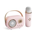 C20PLUS麦克风话筒音响一体蓝牙音箱K歌儿童唱歌家庭ktv蓝牙5.1