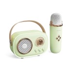 C20PLUS麦克风话筒音响一体蓝牙音箱K歌儿童唱歌家庭ktv蓝牙5.1