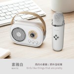 C20plus音响无线蓝牙音箱麦克风一体机儿童K歌话筒女生礼品低音