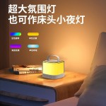 新款跨境蓝牙音箱便携式户外蓝牙音响无线K歌带话筒麦克风家庭ktv
