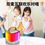 新款跨境蓝牙音箱便携式户外蓝牙音响无线K歌带话筒麦克风家庭ktv