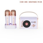 K歌蓝牙音箱话筒声卡一体机户外无线小音响重低音炮KTV麦克风音箱