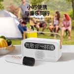 严选K歌音响Y8便携无线蓝牙带话筒歌词显示儿童麦克风长续航便携