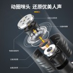 专业无线麦克风带接收器话筒一拖二U段固频家用户ktv外音响卡拉OK