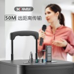 万能无线话筒一拖二动圈家用会议舞台音响功放手持唱歌麦克风KTV (含认证）