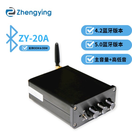 外贸爆款 高低音调节数字功放100W x2 蓝牙5.0双声道立体声