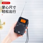 厂家批发W-206收音机便携式口袋FM/AM钟控立体声美观大方型收音机 （含认证）